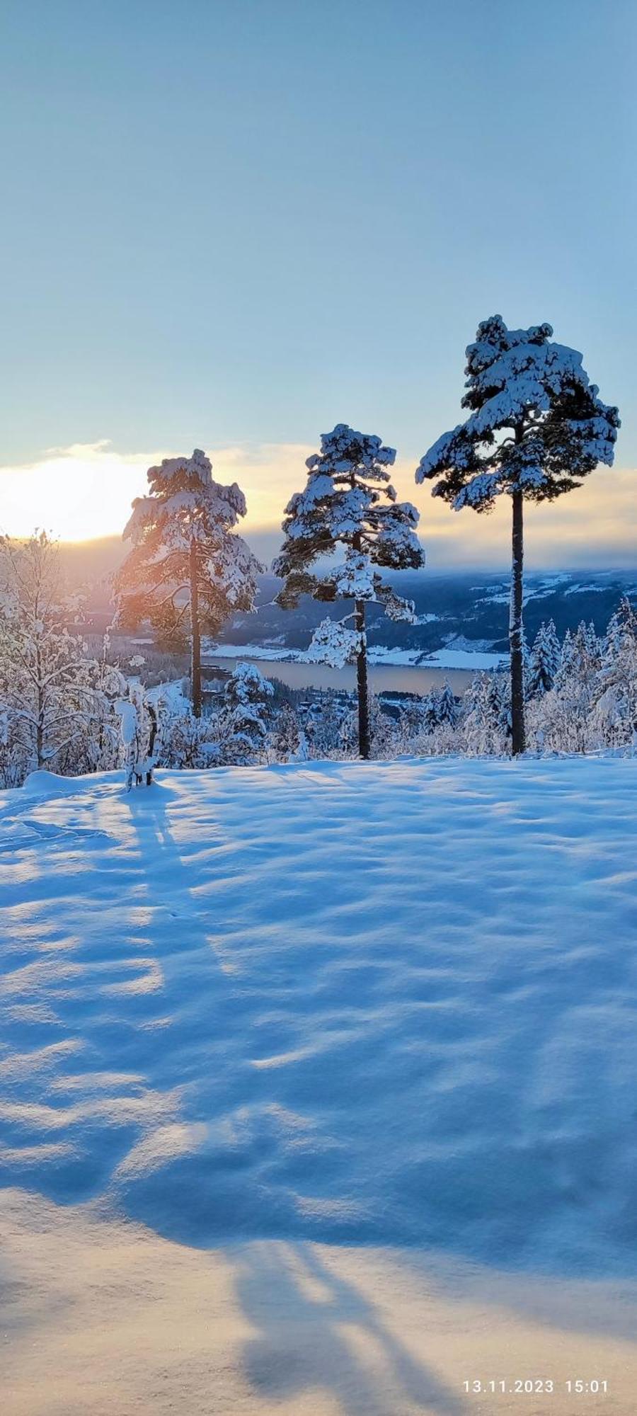 Nordgards Hagen Apartment Lillehammer Bagian luar foto