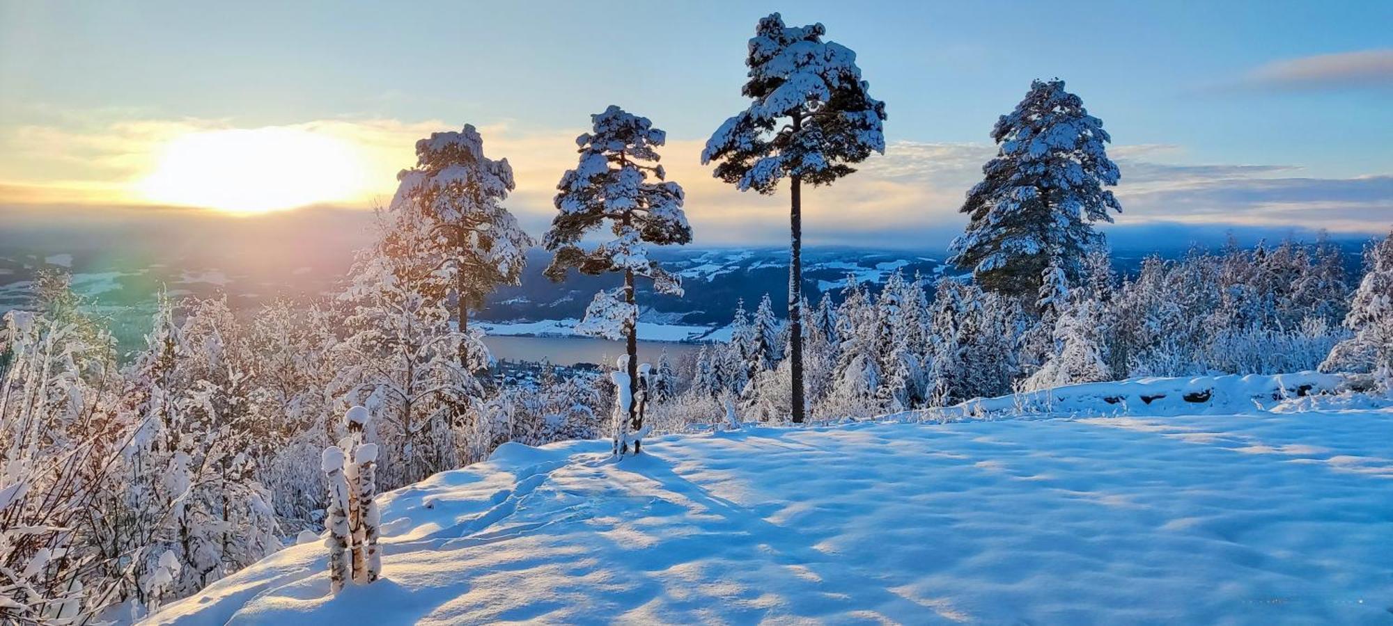 Nordgards Hagen Apartment Lillehammer Bagian luar foto